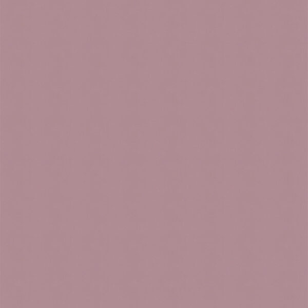 リアテック カラー TX-5351 EGGSHELL MATTE 1220mm×切売 (商品コード：106099)