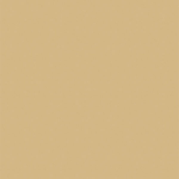 リアテック カラー TX-5352 EGGSHELL MATTE 1220mm×切売 (商品コード：106100)