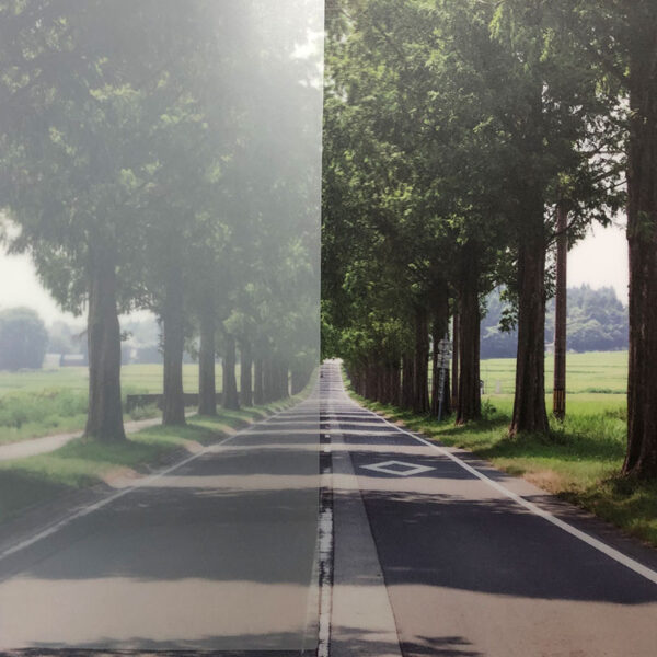 3M ファサラ フロスト/マット SH2MAML ミルキーホワイト 1524mm×60m (商品コード：004214)