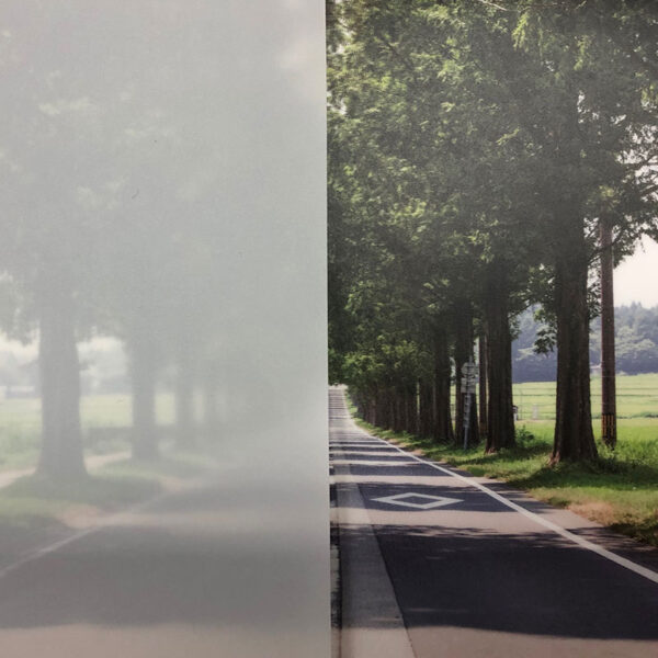 3M ファサラ フロスト/マット SH2MLCRX ミルキークリスタル 1270mm×30m (商品コード：004221)