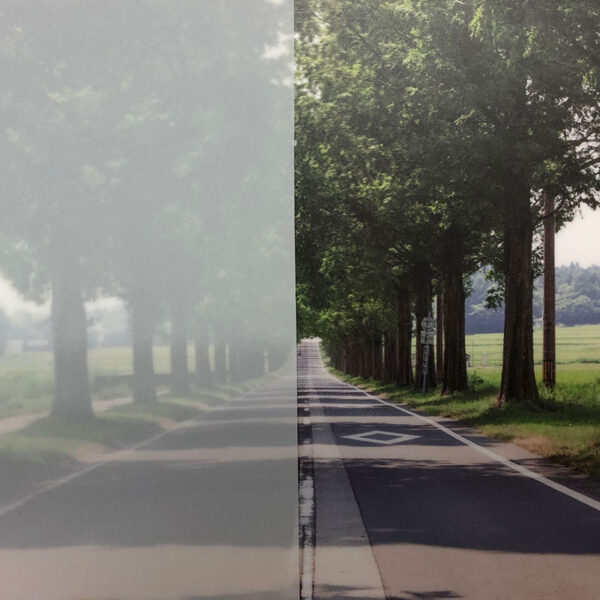 3M ファサラ フロスト/マット SH2MAMM ミルキーミルキー 1270mm×30m (商品コード：004223)