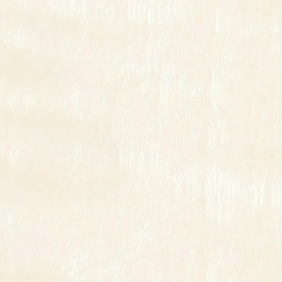 リアテック リアテックコート グロス RW-4841(TF4841)シカモア柾目 1220mm×切売 (商品コード：008368)