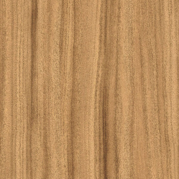 3M ダイノック ドライウッド DW-2209MT クスノキ 柾目 1220mm×切売 (商品コード：079733)