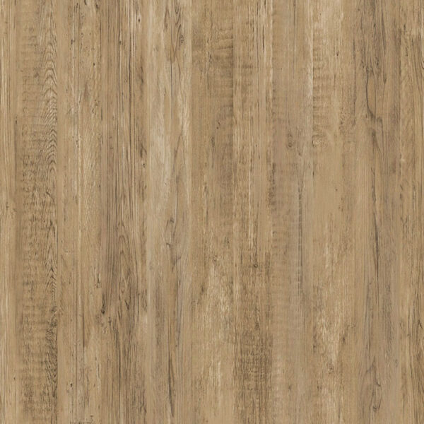 3M ダイノック ドライウッド DW-2219MT パイン/ラーチ 板目 1220mm×切売 (商品コード：079765)