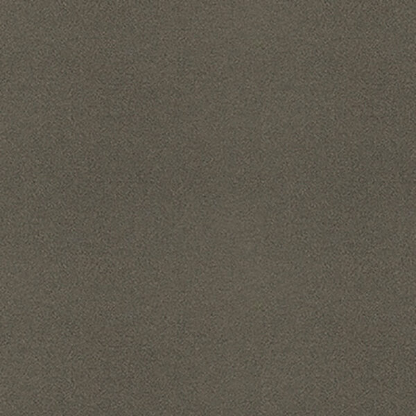 3M ダイノック EXシリーズ（屋外耐候性フィルム） PA-389EX 1220mm×50m (商品コード：081769)