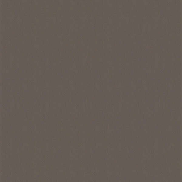 リアテック メタリック TR-5542 Warm Gray 1220mm×切売 (商品コード：106244)