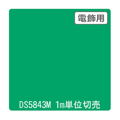 ダイナカル DSシリーズ DS5843M ファンタジーグリーン 1020mm×切売 (商品コード：000687)
