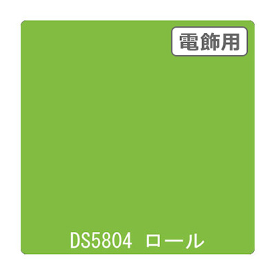 ダイナカル DSシリーズ DS5804 フレッシュグリーン 1020mm×10m (商品コード：000704)