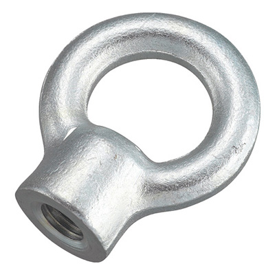 トラスコ TRUSCO アイナット スチール製 6mm 1個 TIN-06 275-8113 (商品コード：167999)