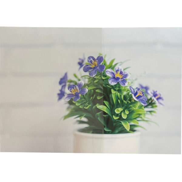 CLEAS 高領域UVカット GF1406-2 高領域UVカット 1250mm×切売 (商品コード：069203)