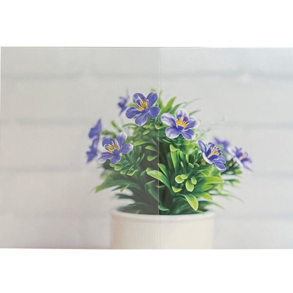 CLEAS 低反射 GF1401-3 ルクリアII 1500mm×切売 (商品コード：069205)