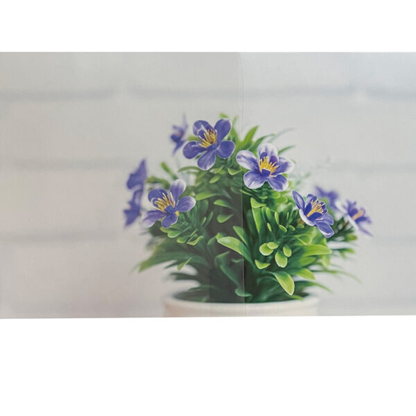 CLEAS 低反射 GF1402-2 ルクリアII EX 1220mm×切売 (商品コード：069206)