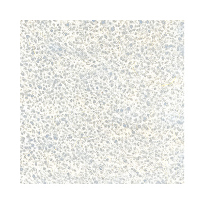 ワーロンシート No.53 薄無地 930×1850 0.45mm厚 1枚 (商品コード：033465)