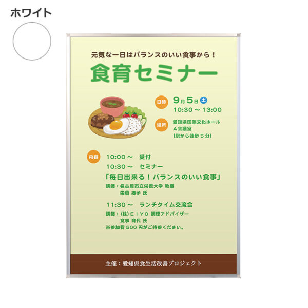 両面用マルチパネル DMP A2 ホワイト(商品コード：111343)