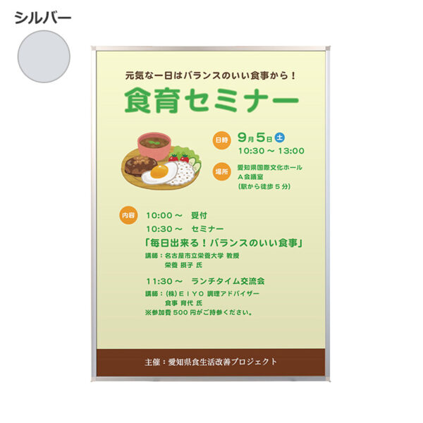 両面用マルチパネル DMP A4 シルバー(商品コード：111349)